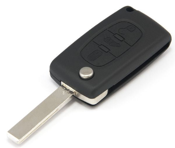 Expert Flip CAN Remote (upto 03.2009)