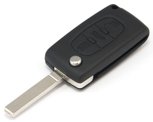 407 Flip Remote (2008-)