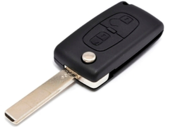 Aftermarket Expert/807 CAN 2 Button until 03.09