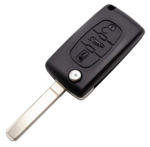 407 Flip Remote (upto 2008)